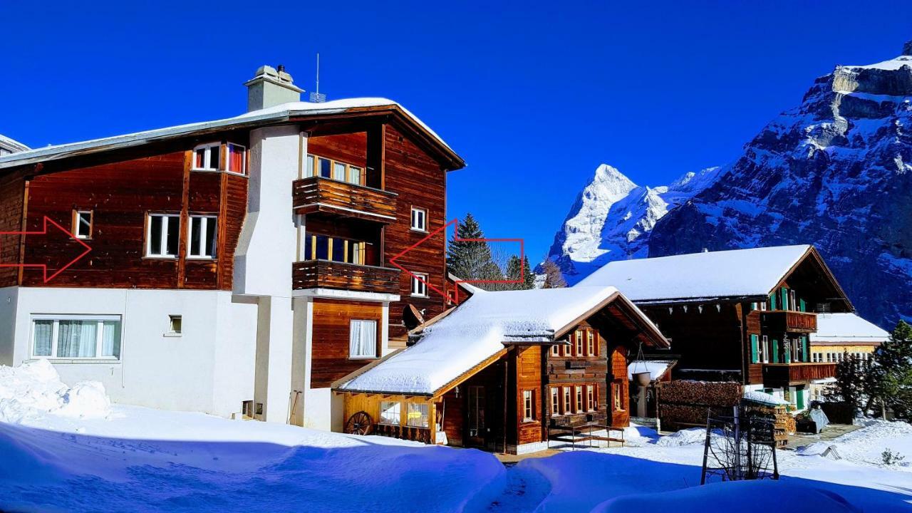 ミューレンChalet Anemone 2アパートメント エクステリア 写真